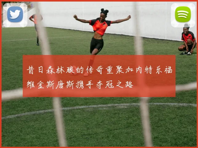昔日森林狼的传奇重聚加内特乐福维金斯唐斯携手夺冠之路